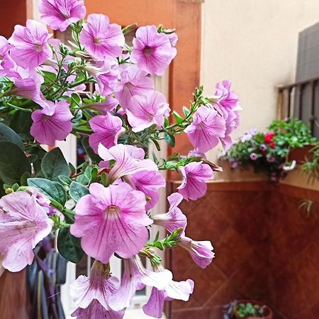 Apartamento La Reina Cordoba Luaran gambar
