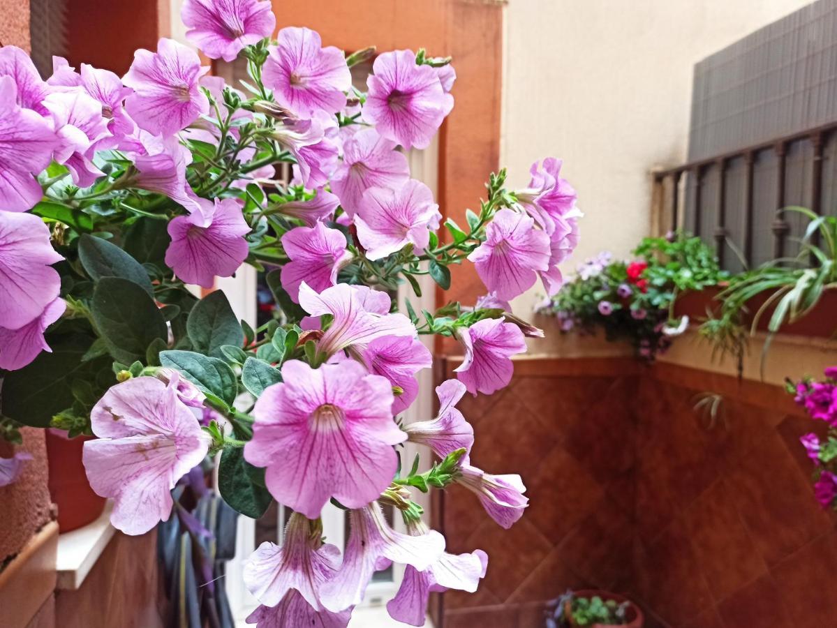 Apartamento La Reina Cordoba Luaran gambar